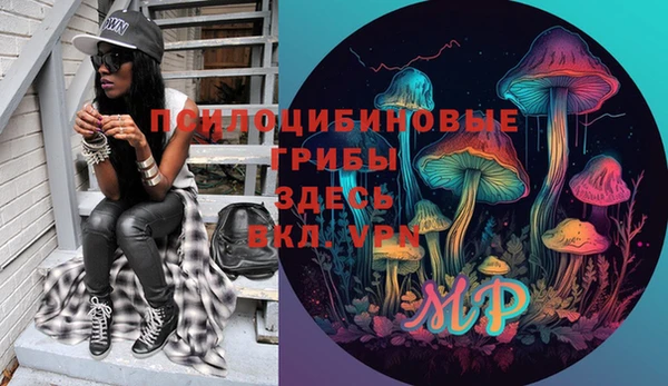 гашик Богородск