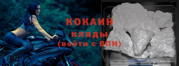 тгк Бородино